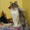 Отзыв от Вера Голубева